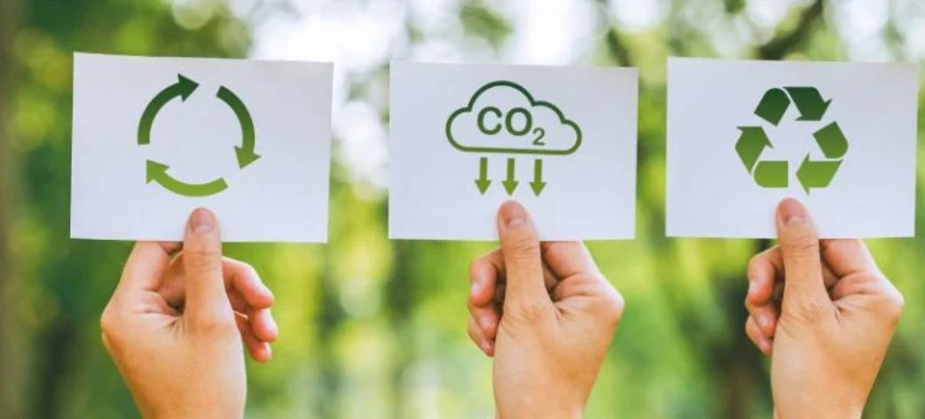 La sustentabilidad en las empresas